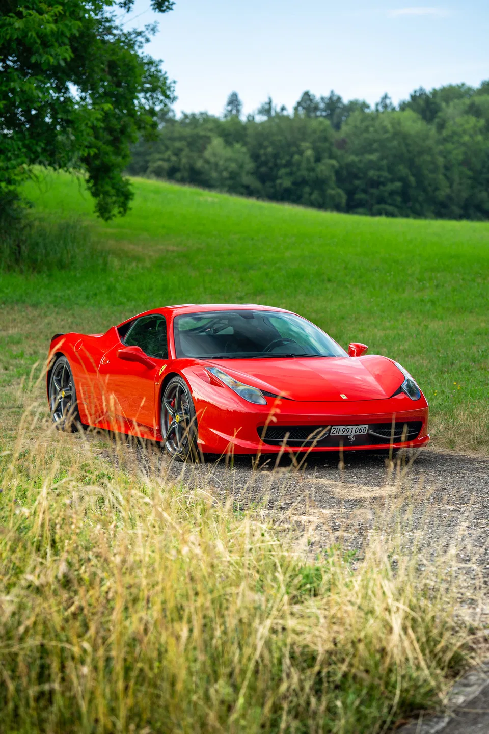 Ferrari 458 Italia among tall grass and green fields