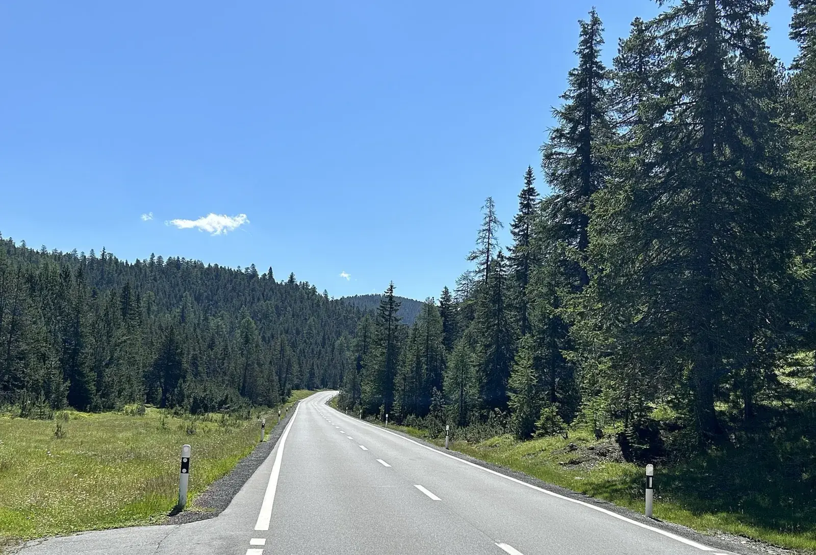 Strasse durch den Bergwald am Ofenpass, auch Pass dal Fuorn genannt